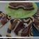 Cooksnap dari Yanti Dillamanty untuk resep Puding milo susu oreo coklat