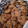 El cooksnap de Luciamb cuando hizo Galletas de avena y chocolate.