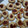 El cooksnap de Andrea cuando hizo Pepas con membrillo.