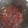 El cooksnap de Elena cuando hizo Mermelada de pimientos de piquillo.