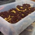 Cooksnap dari Sya_anshori untuk resep Putri Salju Keju,,,,lumer tapi kokoh