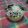 Cooksnap dari N I D I A N G untuk resep Mini Oreo Cheese Cake Layak Jual