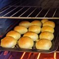 Anna Puri's cooksnap of when they made BRIOCHE BUNS FOR SANDWICHES.JON STYLE.