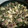El cooksnap de dan hill “FUNKYDAN” cuando hizo Papas con rajas y bistec.