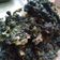 Cooksnap dari Laura Bintang Pagi untuk resep Bakwan Daun Singkong - Blendrat