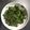 rika's cooksnap of when they made Korean style Curly kale chips with sesame oil and seaweed 🇰🇷.