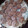 Wanjiku Lucia's cooksnap of when they made Coconut Rice Crispies Dates Balls#CoastalCoconutRecipeChallenge.