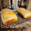 Raybornc's cooksnap of when they made Simple White Bread.