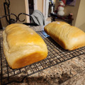 Raybornc's cooksnap of when they made Simple White Bread.