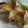 El cooksnap de Marilaan cuando hizo Tarta de Pollo.