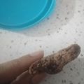 کوک اسنپ Tayebe_chef بعد از امتحان کردن کوکی شکلاتی ترک دار 😋.