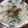 細兒 ❤ 愛隨興料理 的 吻仔魚粥 cooksnap