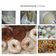 Cooksnap dari Gitanti untuk resep Donat empuk tanpa kentang, tanpa telur..