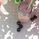 Cooksnap από Ismini στη συνταγή Ροζ smoothie