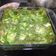 El cooksnap de Claudia Rojas cuando hizo Lasagna de huitlacoche y espinacas con pasta fresca.