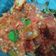 Cooksnap dari Amalia Prasetyarini untuk resep Tuna Balado