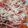 El cooksnap de Ramón Palmerín Granado cuando hizo Carpaccio de tomate.