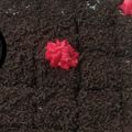 Cooksnap dari Mirna sari untuk resep Blackforest cake ultah