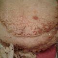 El cooksnap de Vannesa Correa cuando hizo Panqueque sin huevo.