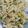 Soniya choudhary's cooksnap of when they made White sauce Pasta.