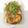 รูป Cooksnap ของ Sasithorn Ie เมื่อเขาทำ หอยทอด สูตรคีโต