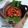 Cooksnap dari Mama fathan untuk resep Sambal cumi asin