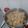Cooksnap dari sity sarman untuk resep Dimsum Ayam Udang