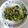 張小杏 的 芝麻拌菠菜 cooksnap
