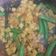 Cooksnap dari BuNay untuk resep Sambal goreng kentang