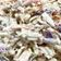 Cooksnap από Stacy! στη συνταγή Coleslaw my way