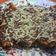 Cooksnap dari Conita Lutfia untuk resep Pisang nugget