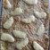 El cooksnap de vallejos cuando hizo Budín de zapallo italiano con carne.