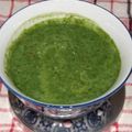 Sapna Tyagi 👩🏻‍🍳's cooksnap of when they made Coriander Mint Chatni.