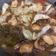 Cooksnap dari Niisha Petrova untuk resep Tongseng ayam
