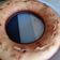 El cooksnap de Veronica Sosa cuando hizo Budín de vainilla con chispas de chocolate y dulce de leche.