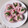 Cooksnap dari Indah Mei untuk resep Kue Nona Manis Merah Putih