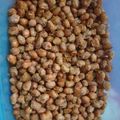 Cooksnap dari Drh Anita Ikawati untuk resep Kacang Telur Kribo
