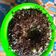 Cooksnap dari intan permatasari untuk resep Brownies Oreo Kukus