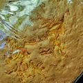 El cooksnap de Patry Smith cuando hizo Torta de zanahorias!!.
