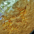El cooksnap de Patry Smith cuando hizo Torta de zanahorias!!.