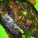 Cooksnap dari rahajeng setyati untuk resep Ikan Pindang Lombok Ijo