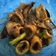 Cooksnap dari amanda dewi untuk resep Oseng Cumi Basah