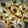 Nidhi Agarwal Ndihi's cooksnap of when they made પાણી પૂરી (Pani Puri Recipe In Gujarati).