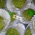 صورة من حلويات سوما ، شاركها بعد تجربة وصفة 🍏 حلوة التفاحة 🍏