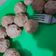 Cooksnap dari Anisa sadewa untuk resep Bakso daging sapi