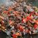 Cooksnap dari Siti Mutiara untuk resep Tumis Bekicot 002