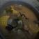 Cooksnap dari mumun untuk resep Sayur asem jakarta
