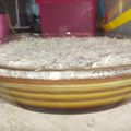 Cooksnap dari Fathin kitchen untuk resep Puding caramel custard