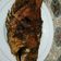 Cooksnap dari niza untuk resep Ikan gurame bakar kecap