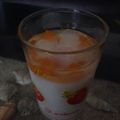 Cooksnap dari Gita Ratnasari untuk resep PUDING SUTRA BUAH